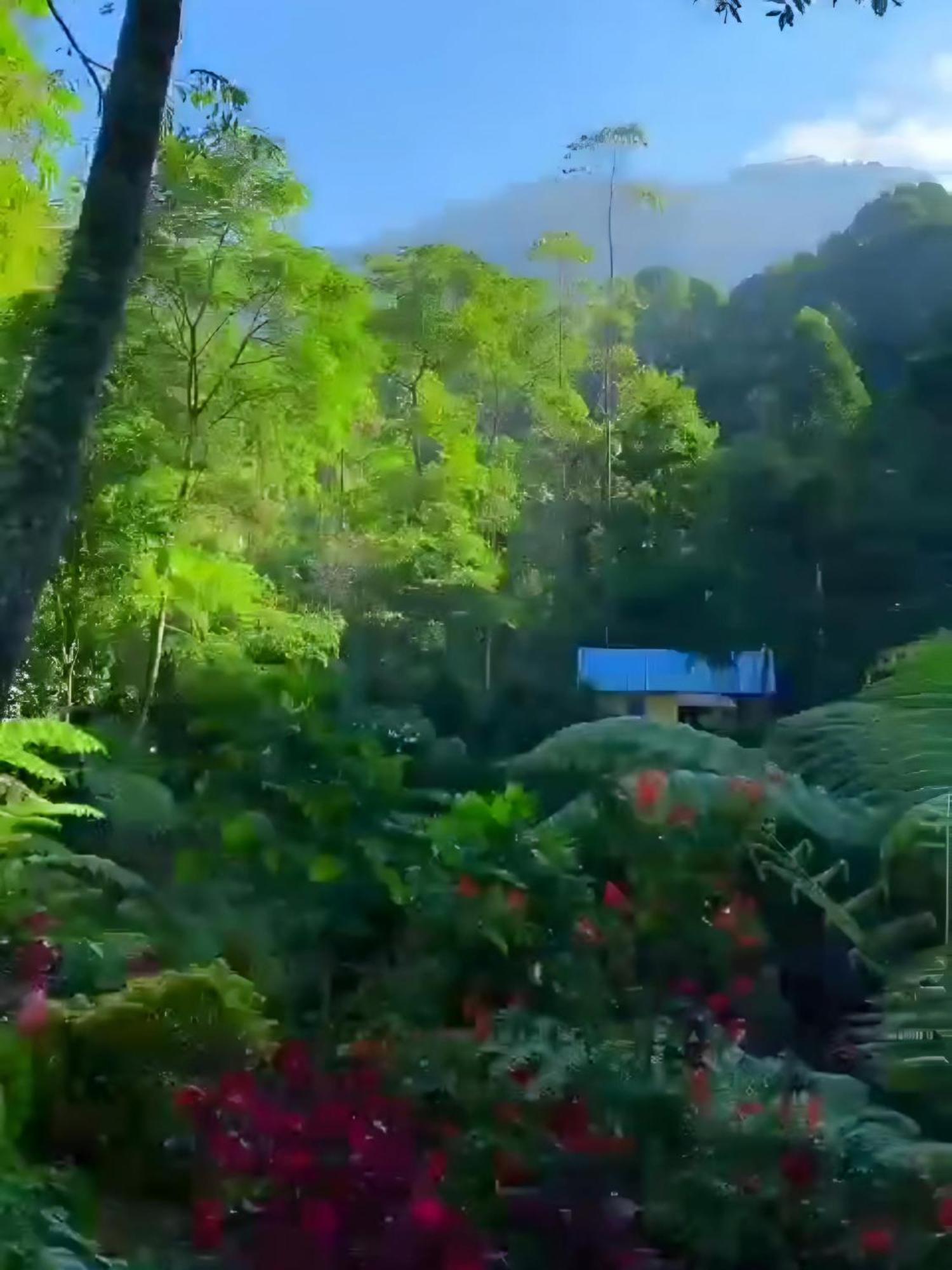 Hotel Penginapan Nuansa Riung Gunung Pangalengan Exterior foto